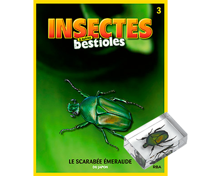 Le Nº 3: Le scarabée émeraude